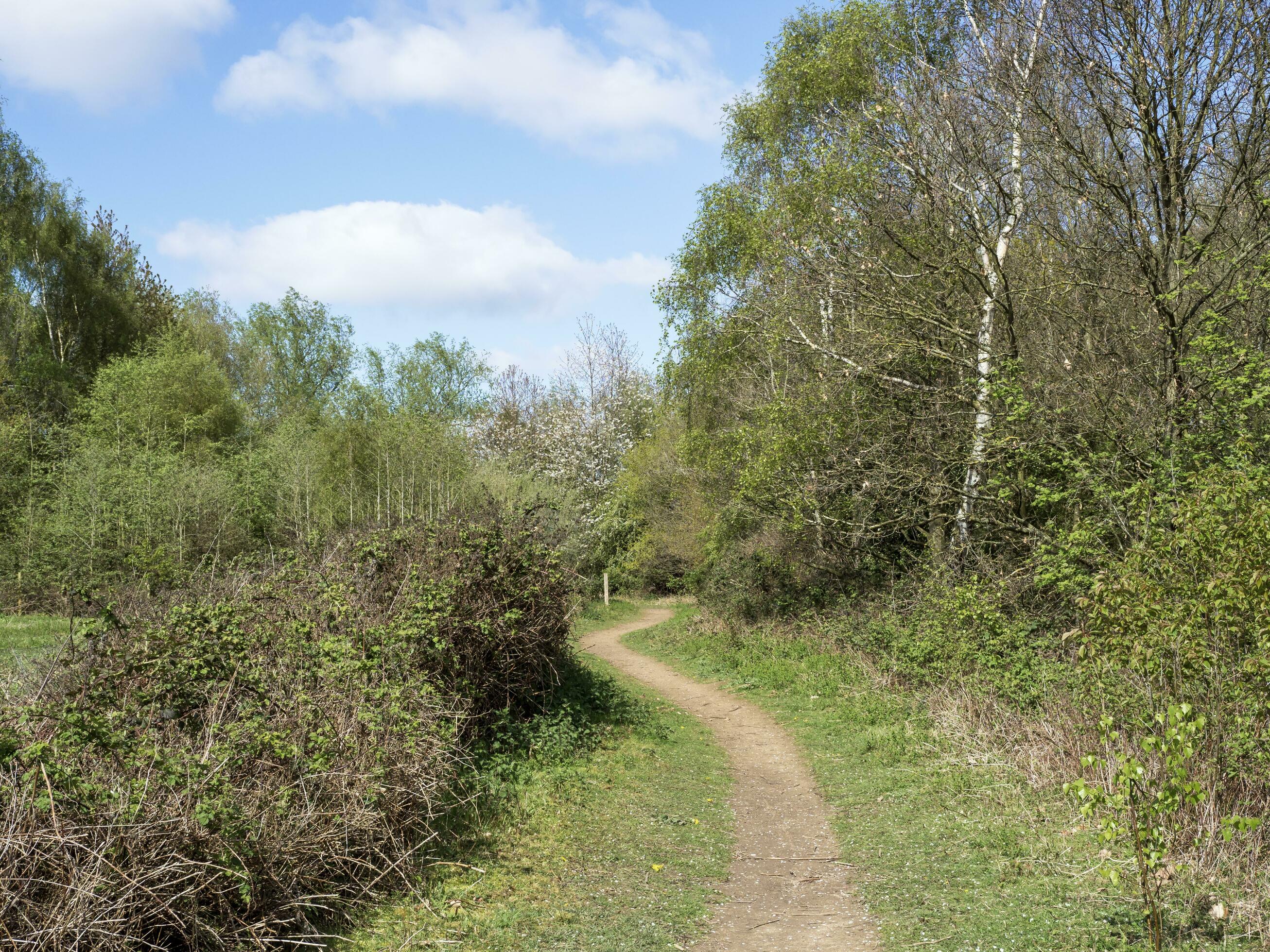 Path through Barlow Common Nature Reserve 24124534 Stock Photo at Vecteezy