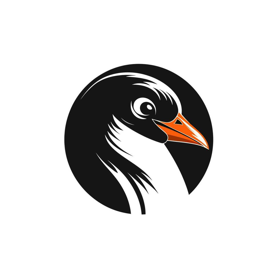 pingüino cabeza logo vector - pájaro marca símbolo