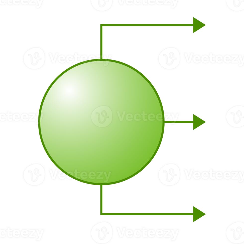 Business Management Diagram png