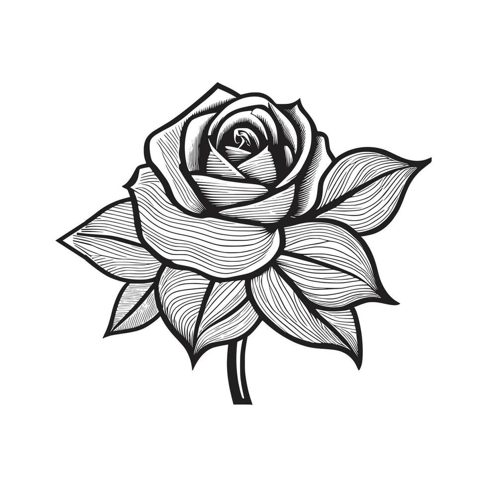 Rose In Sketch | Rose drawing simple, Flower drawing, Rose drawing-saigonsouth.com.vn