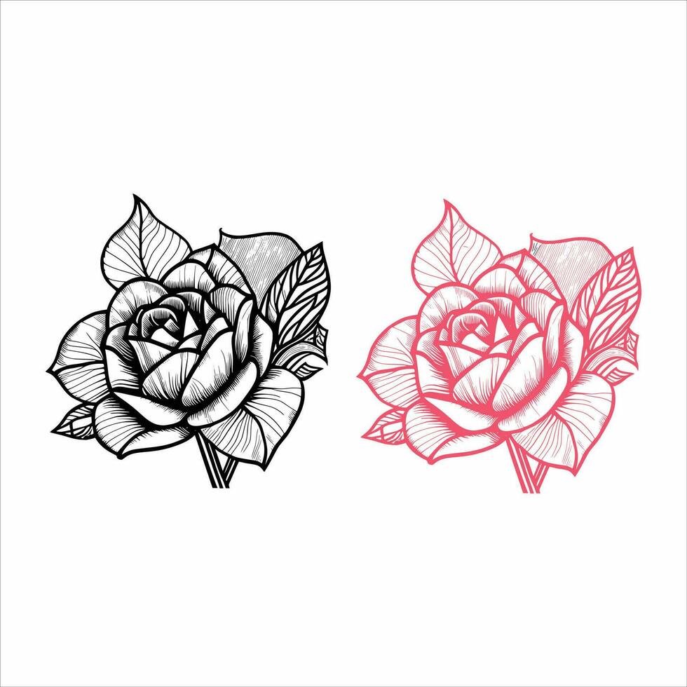 Roses hand drawn pencil sketch, coloring page, and book, Rose flower outline, illustration ink art. rose vector art.