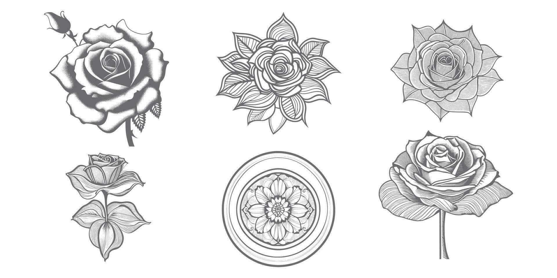 Roses hand drawn pencil sketch, coloring page, and book, Rose flower outline, illustration ink art. rose vector art.