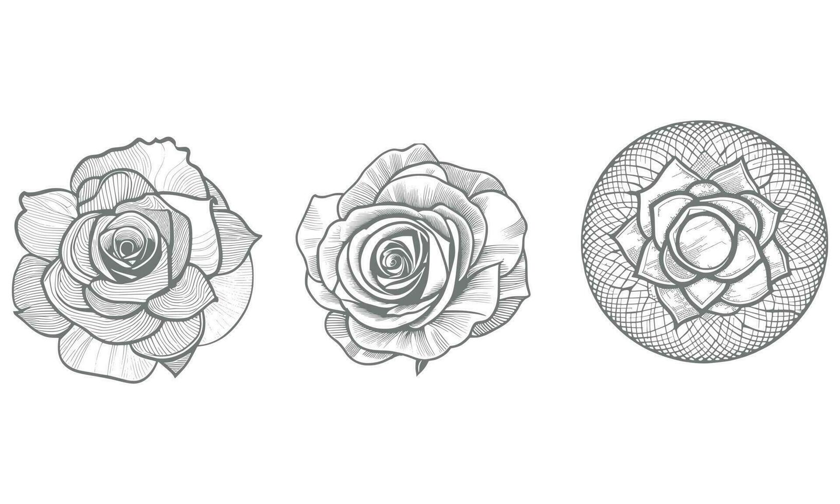 Roses hand drawn pencil sketch, coloring page, and book, Rose flower outline, illustration ink art. rose vector art.