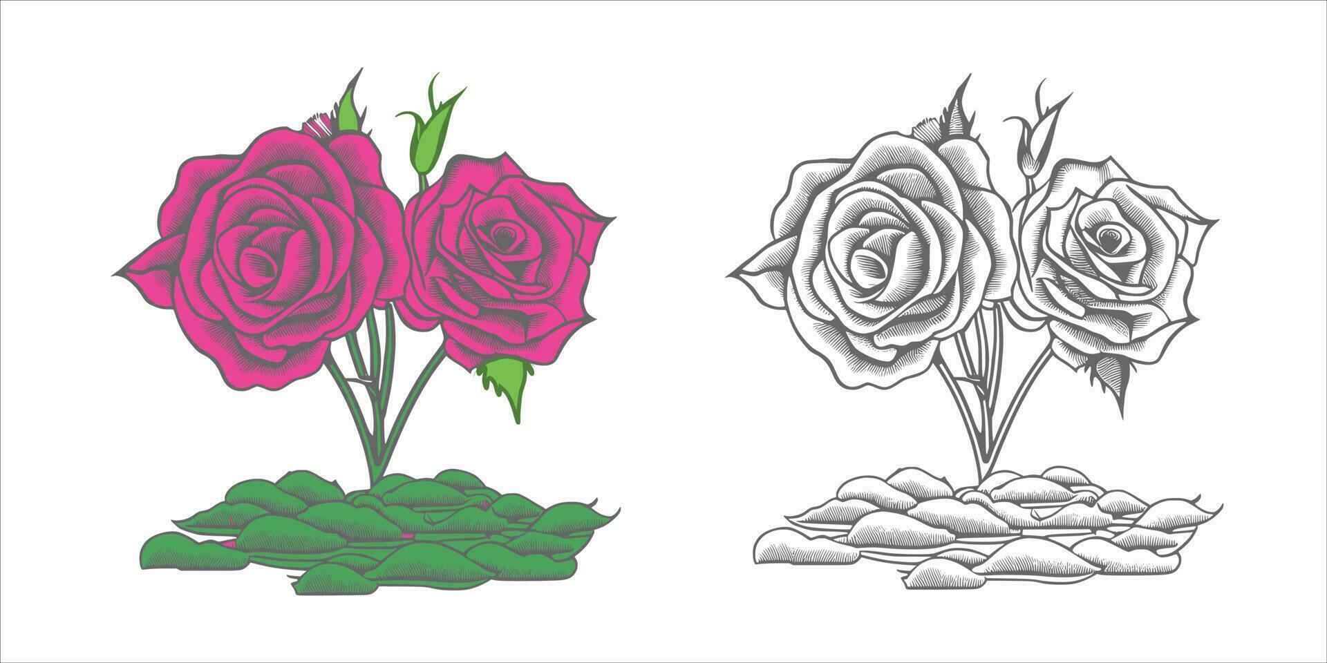 Rose hand drawn pencil sketch, coloring page, and book, Rose flower outline, illustration ink art. rose vector art.