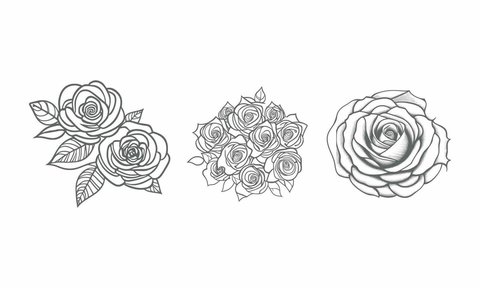 Roses hand drawn pencil sketch, coloring page, and book, Rose flower outline, illustration ink art. rose vector art.