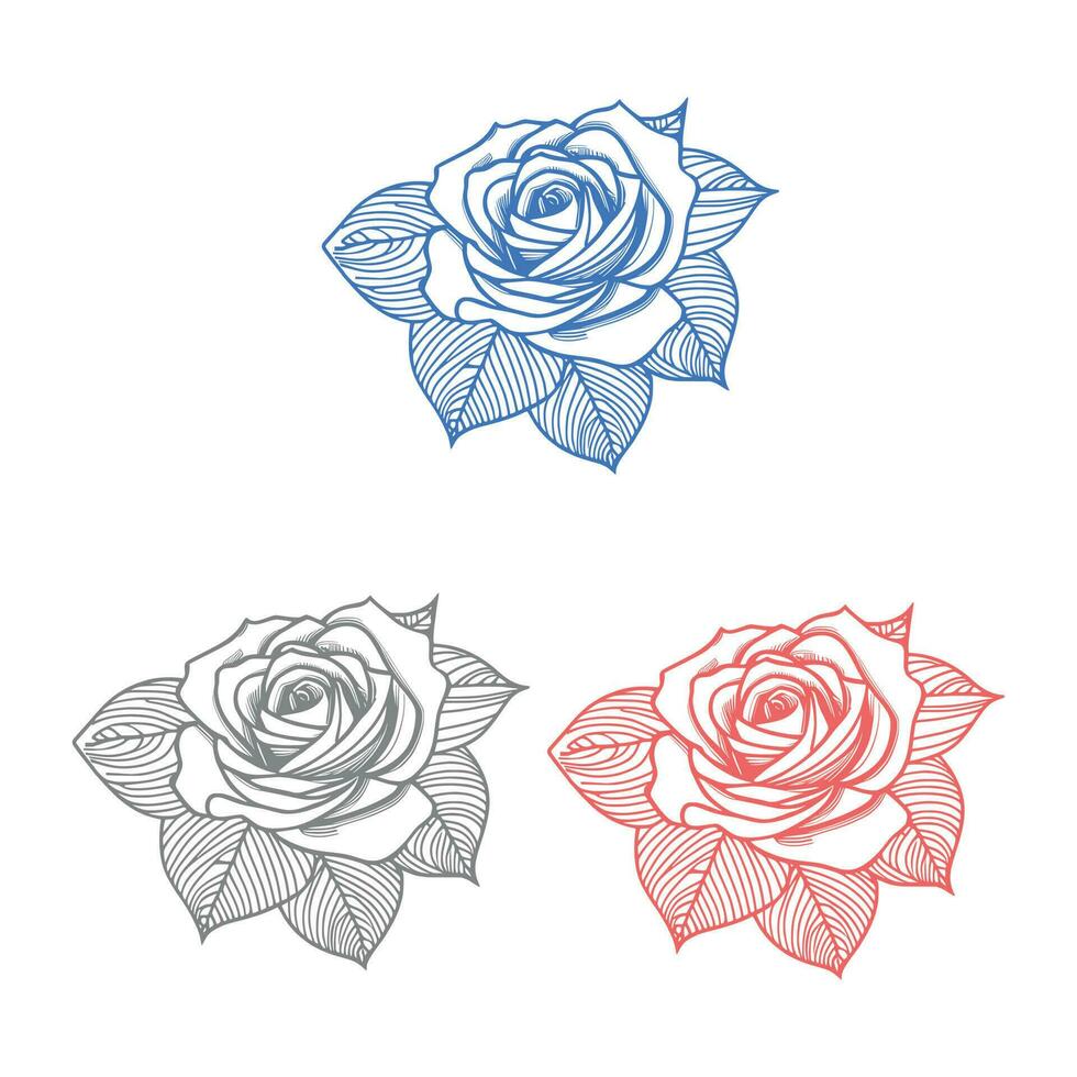 Roses hand drawn pencil sketch, coloring page, and book, Rose flower outline, illustration ink art. rose vector art.