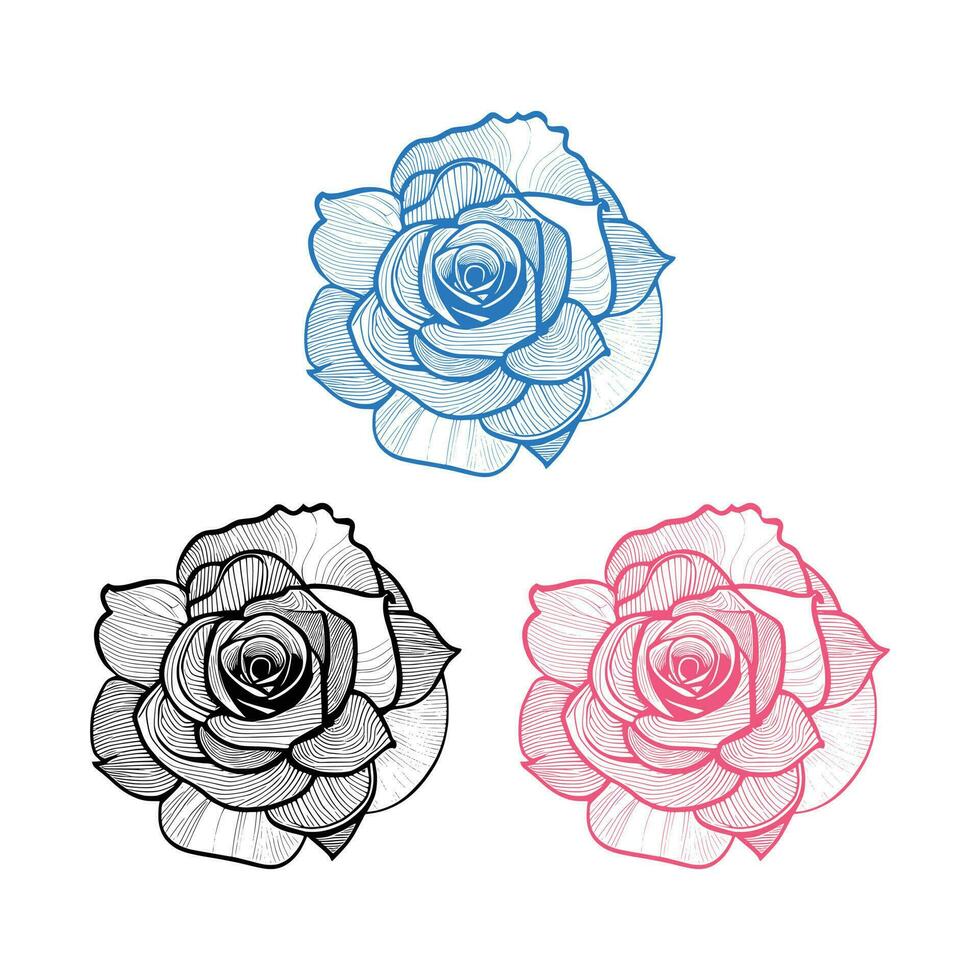 Roses hand drawn pencil sketch, coloring page, and book, Rose flower outline, illustration ink art. rose vector art.