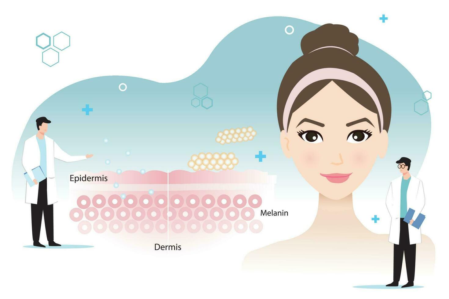 The dermatologists diagnose and describe, the mechanism of nutrient absorption through skin vector on white background. Skin care and beauty concept illustration.