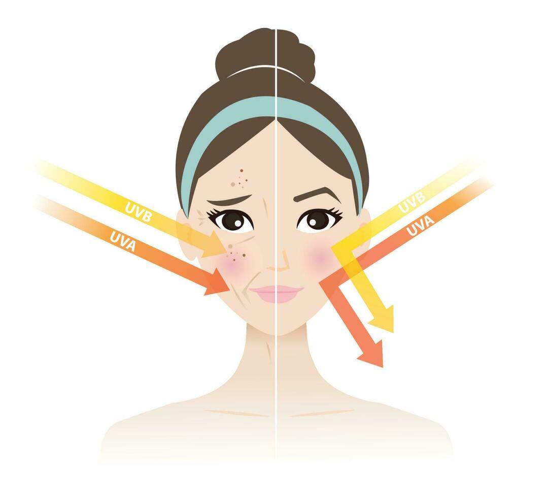 Comparison of damaged skin from UVA and UVB rays and healthy skin prevent sun damaged on woman face vector illustration on white background. Aging, wrinkling, sun damage and burning from sun exposure.