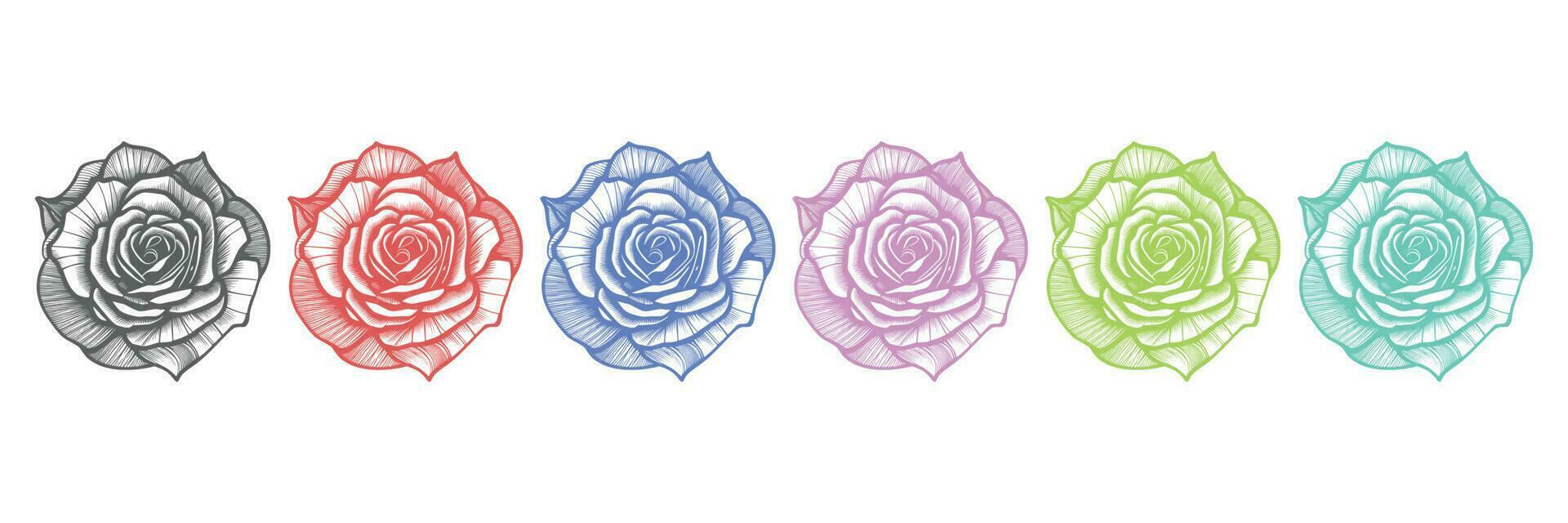 Roses hand drawn pencil sketch, coloring page, and book, Rose flower outline, illustration ink art. rose vector art.