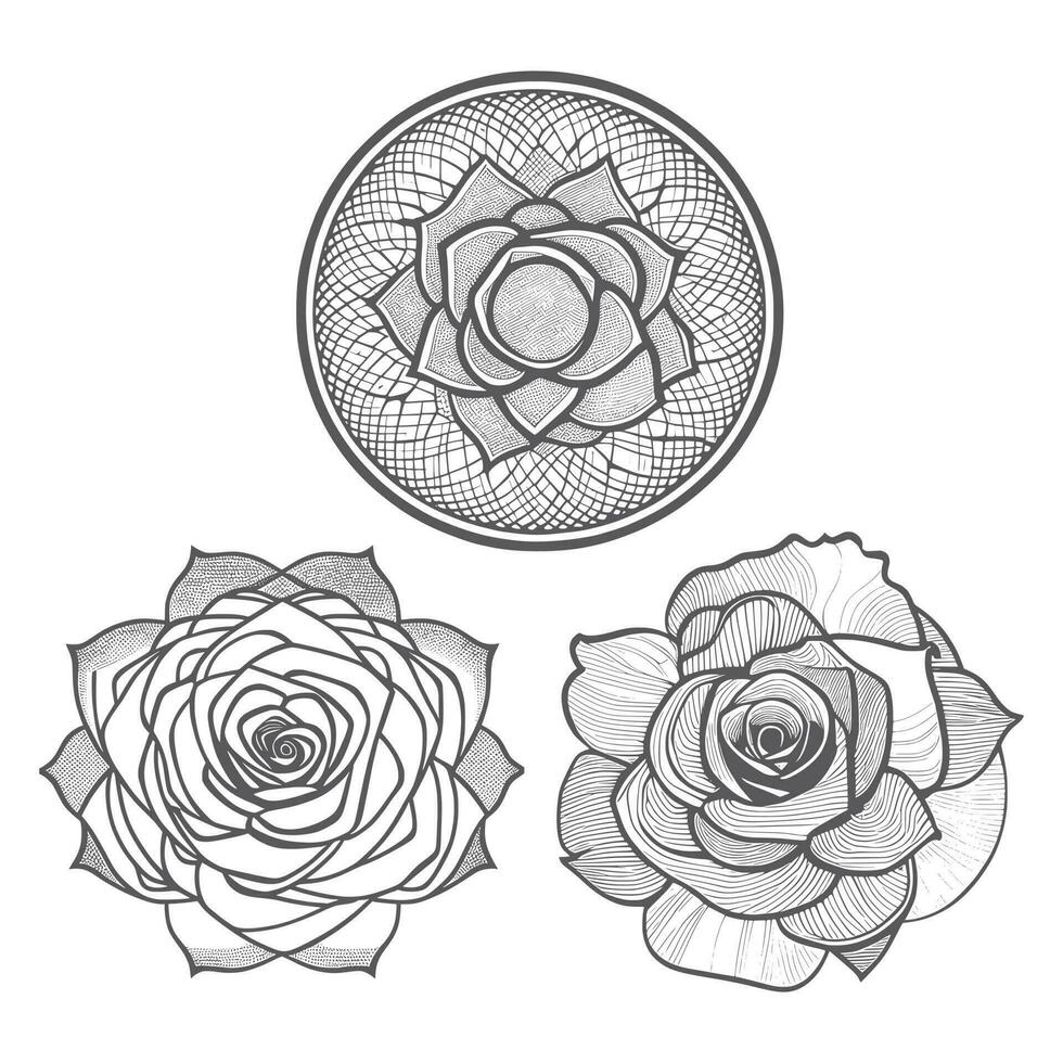 Roses hand drawn pencil sketch, coloring page, and book, Rose flower outline, illustration ink art. rose vector art.