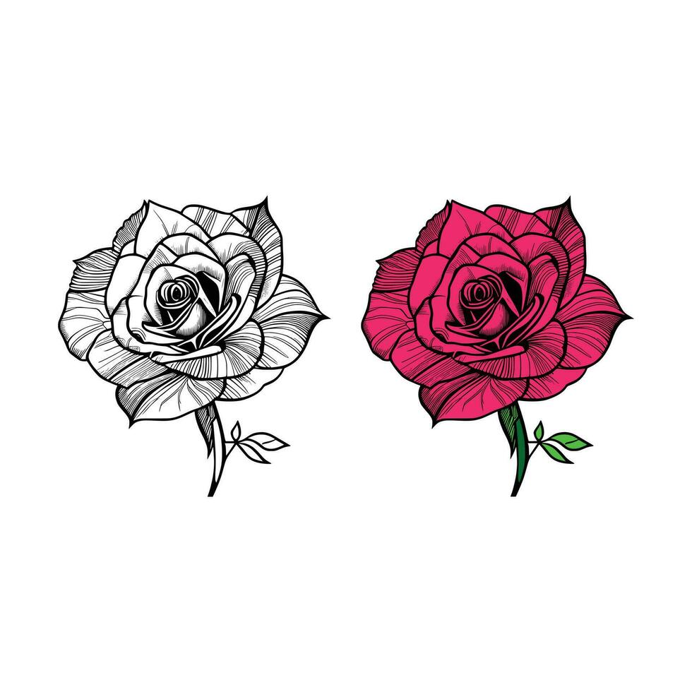 Rose hand drawn pencil sketch, coloring page, and book, Rose flower outline, illustration ink art. rose vector art.