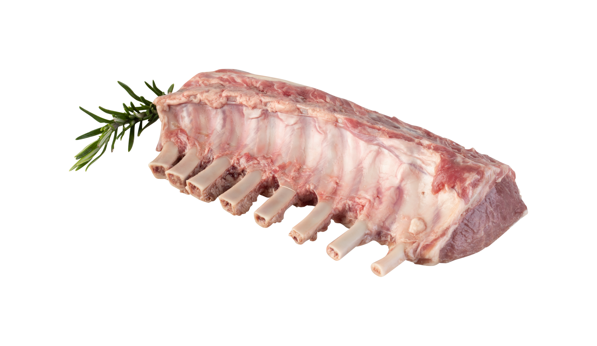 Fresh Pork Ribs With Cut Out Isolated On Transparent Background how-to-reheat-pork-tenderloin-5-quick-methods