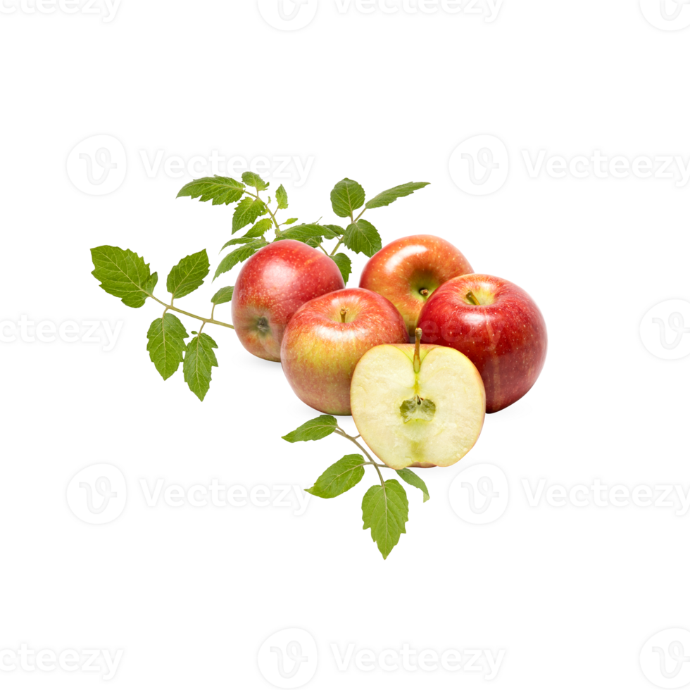 Fresh apples resting on the leaves and branches isolated transparent background png