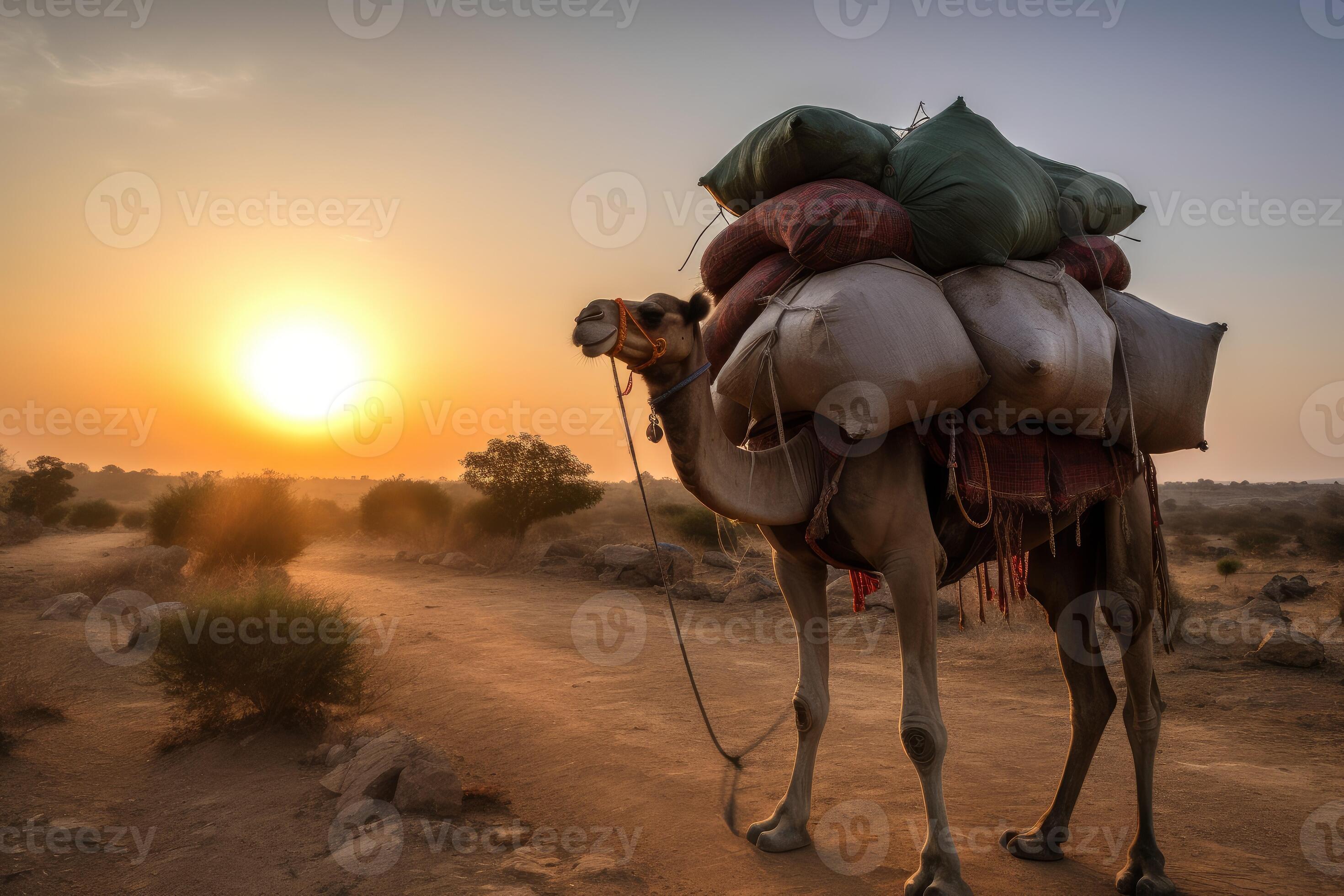 Camel carry load goods in desert. Generate Ai 24130193 Stock Photo at