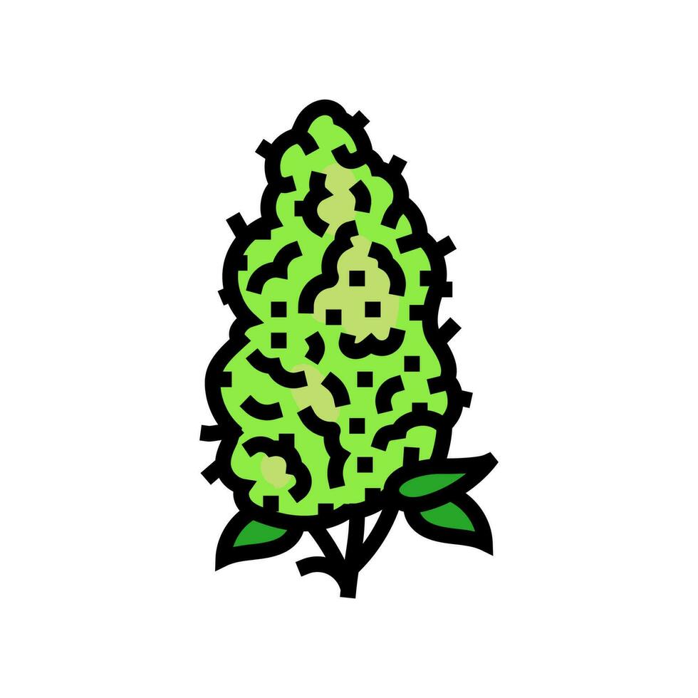 cannabis bud weed color icon vector illustration