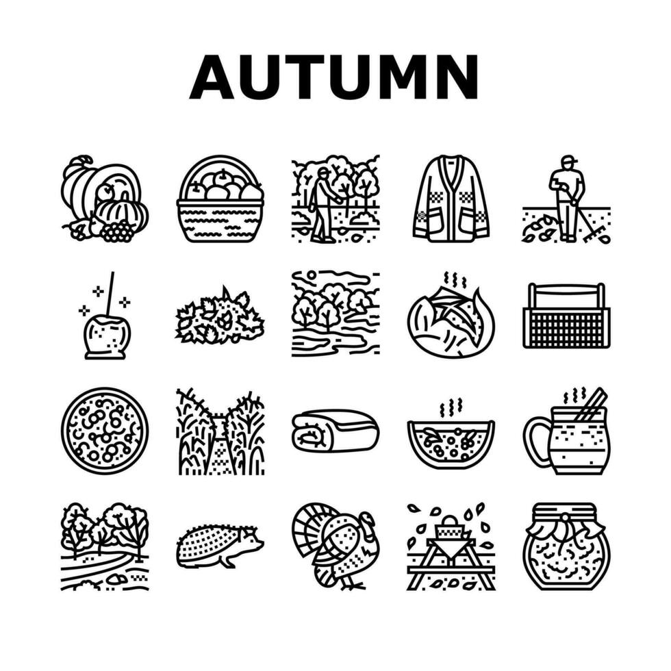 autumn season fall leaf nature icons set vector