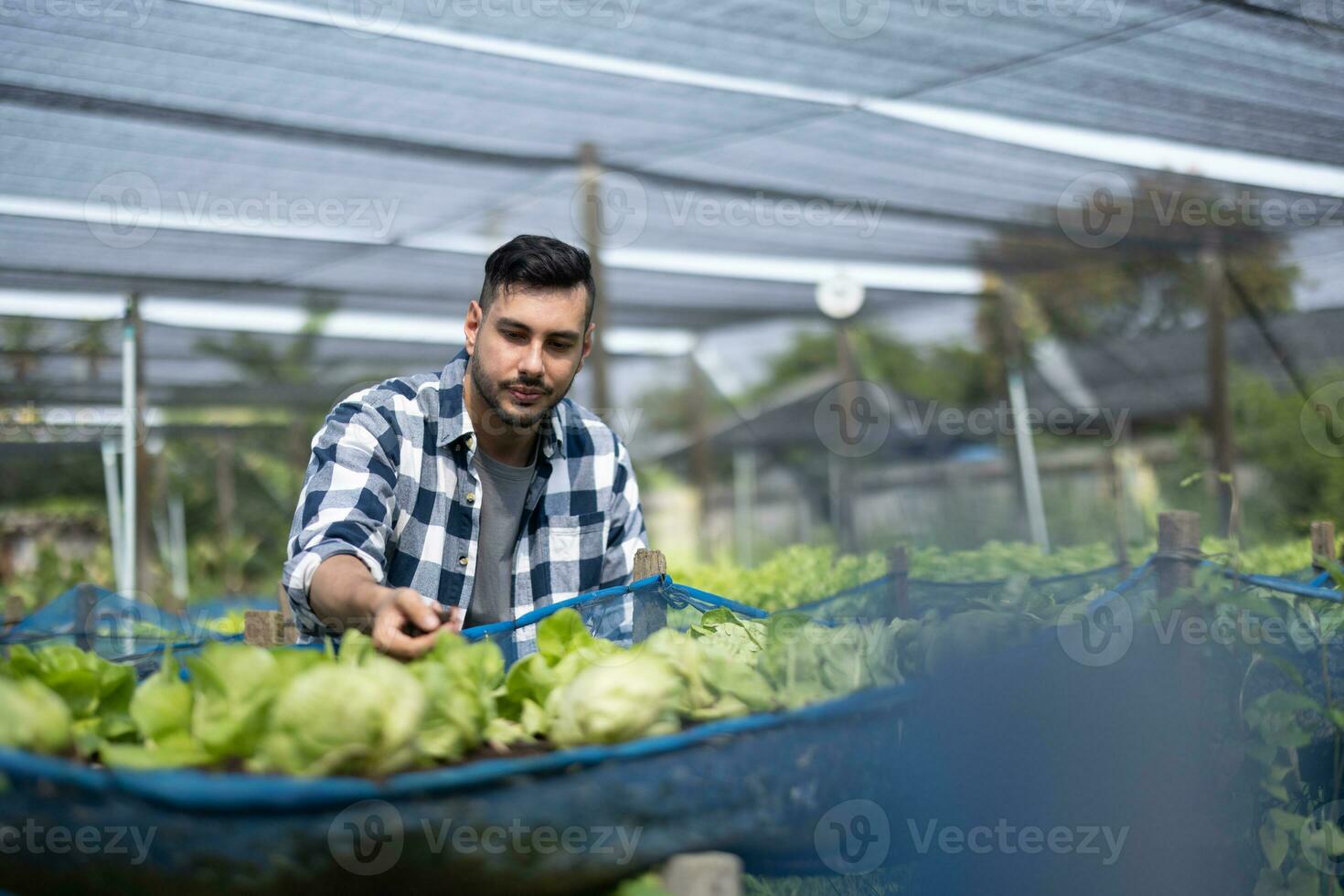 A worker on a vegetable farm examines soil conditions and crop growth to determine the best type and amount of crop to plant. A small business owner's daily planning and organizing routine photo