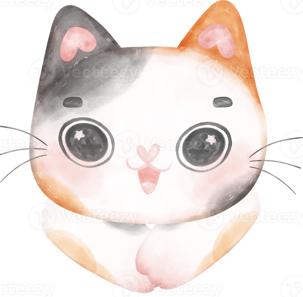 Cute cheerful calico kitten cat happy face cartoon character watercolour hand drawing png