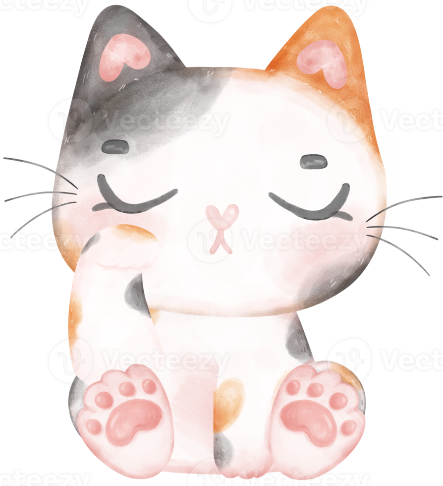 Cute playful calico kitten cat happy cartoon character watercolour hand drawing png