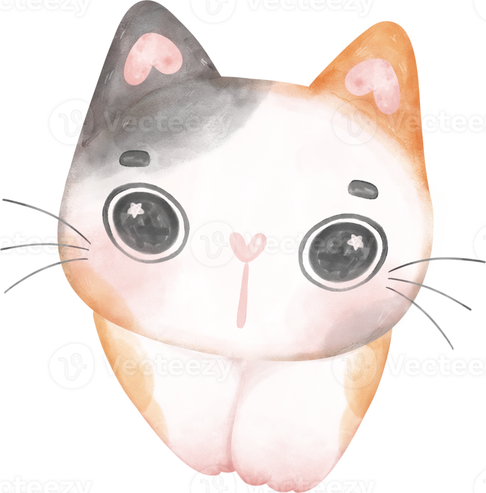 Cute cheerful calico kitten cat happy face cartoon character watercolour hand drawing png