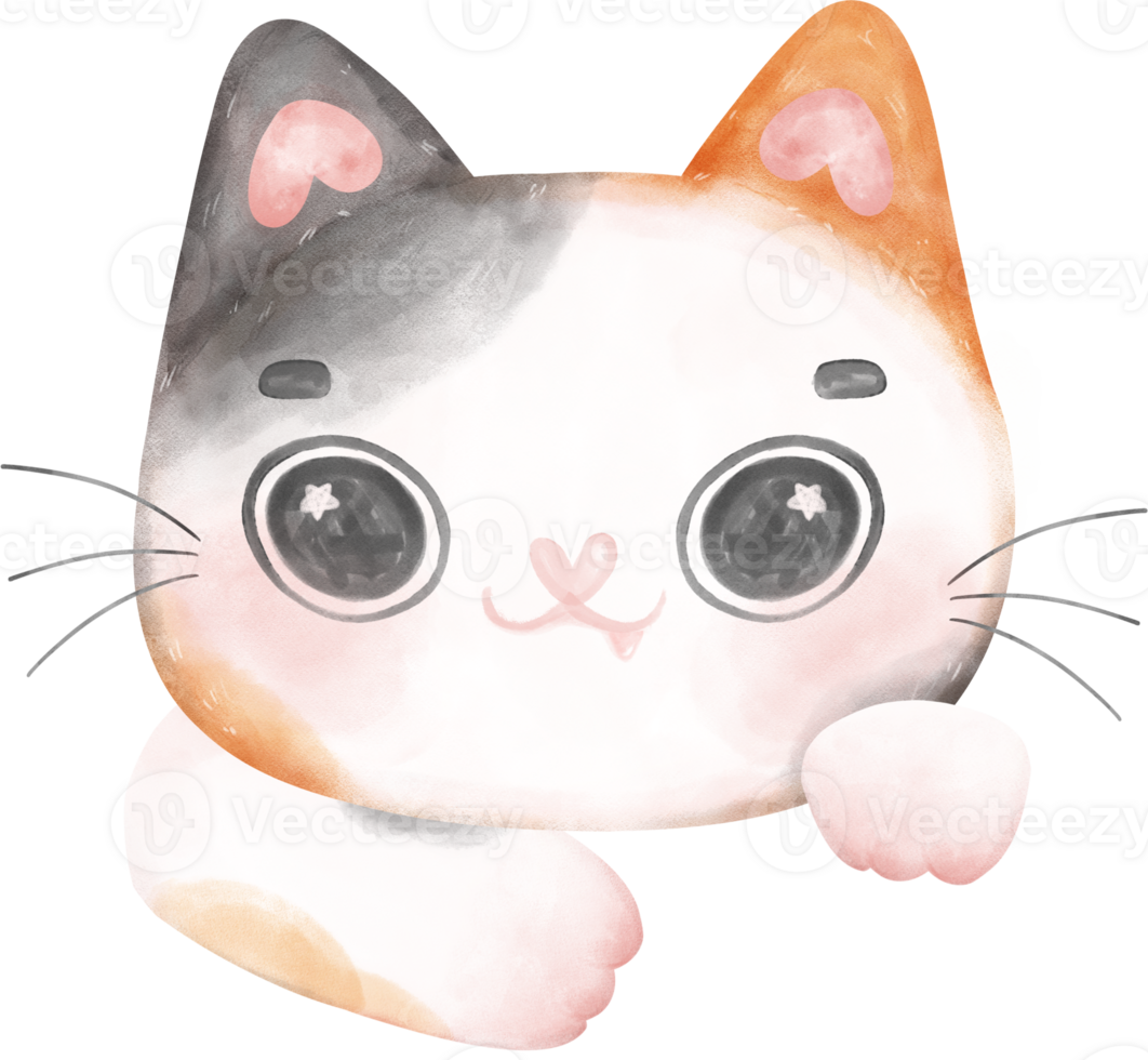 Cute cheerful calico kitten cat happy face cartoon character watercolour hand drawing png