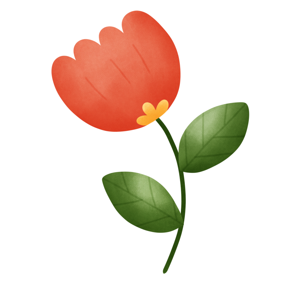 Red lily flower png