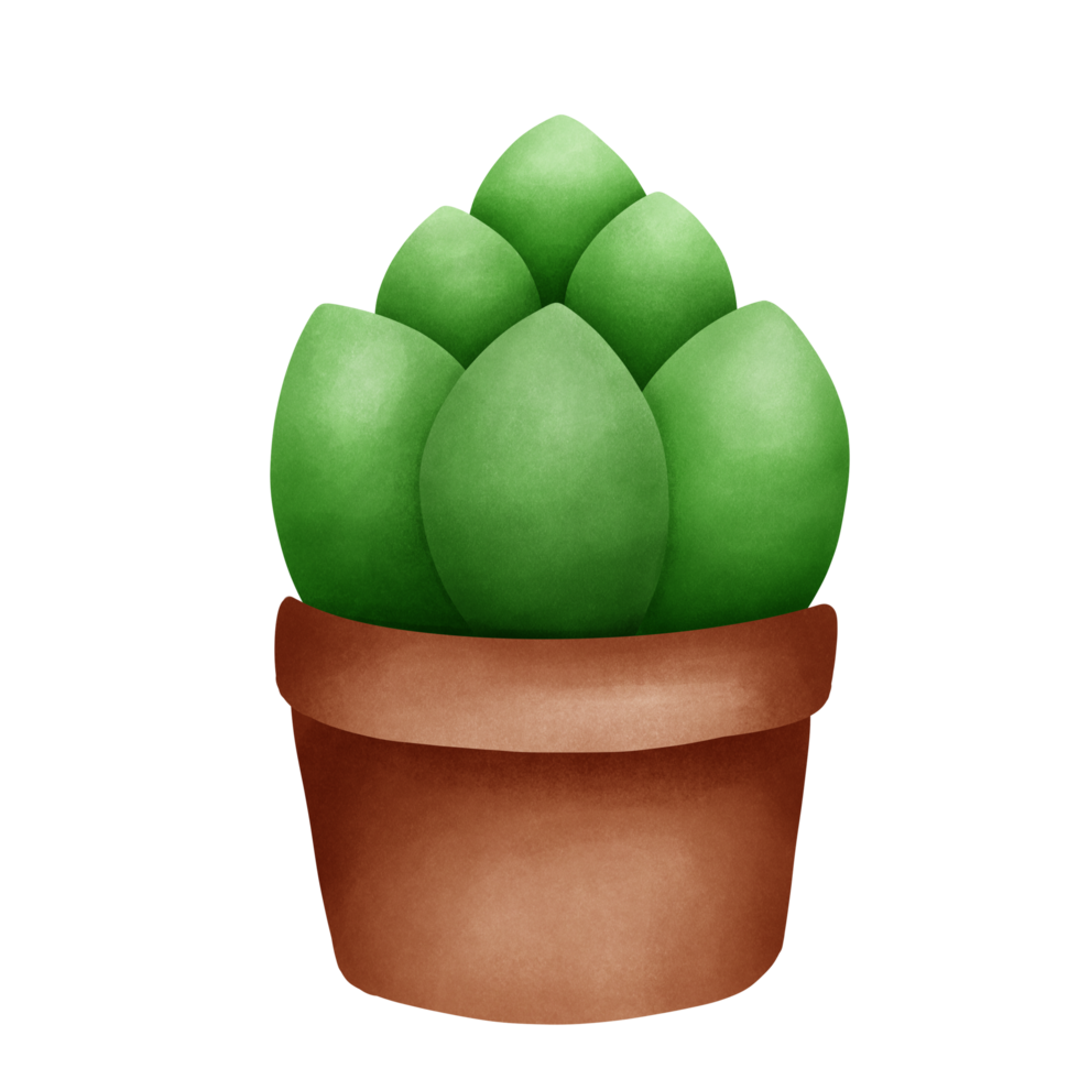 Cute and happy cactus succulent png
