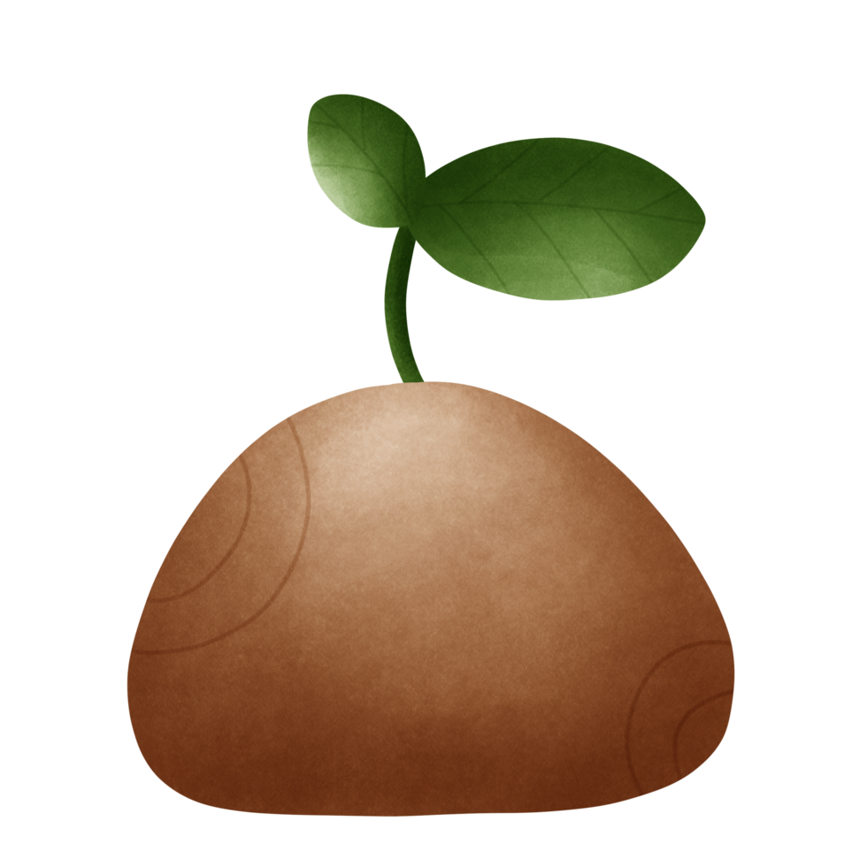 Cute and happy plant png