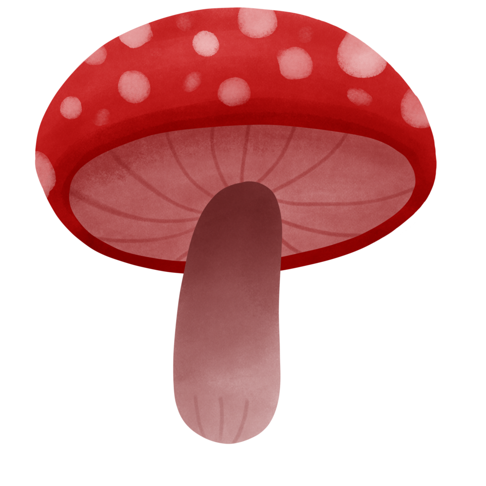 carino rosso fungo veleno nel acquerello stile png
