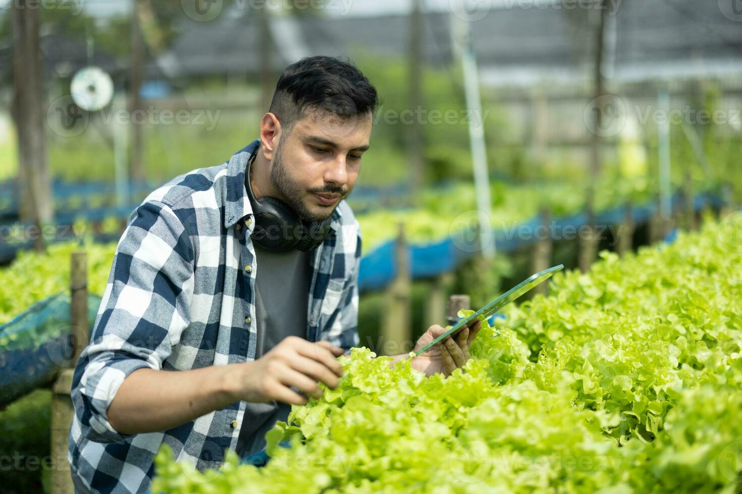 A worker on a vegetable farm examines soil conditions and crop growth to determine the best type and amount of crop to plant. A small business owner's daily planning and organizing routine photo