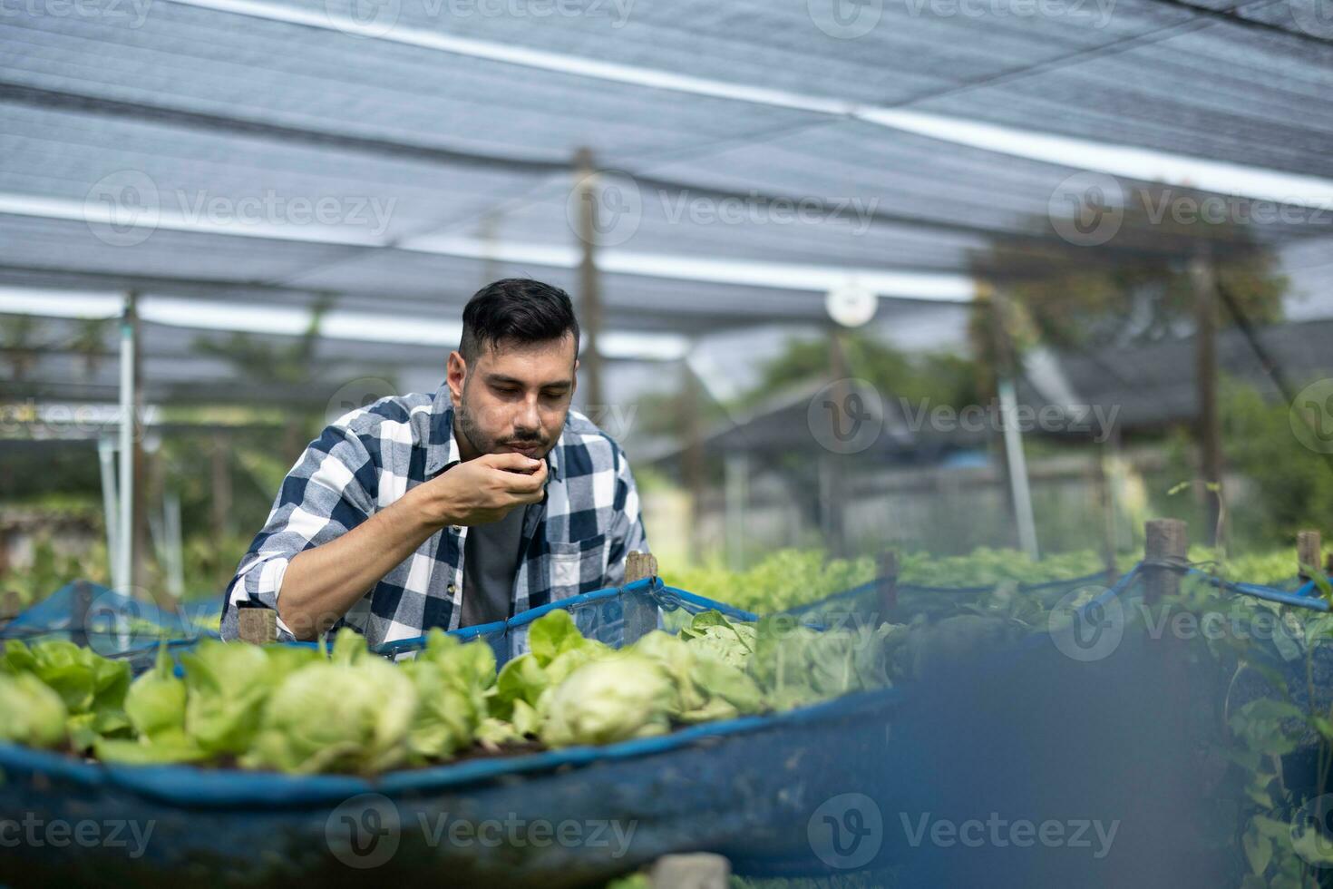 A worker on a vegetable farm examines soil conditions and crop growth to determine the best type and amount of crop to plant. A small business owner's daily planning and organizing routine photo