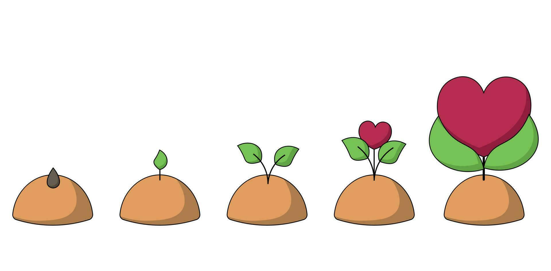 Stages of growth of a sprout from a seed to a heart-shaped flower in color vector