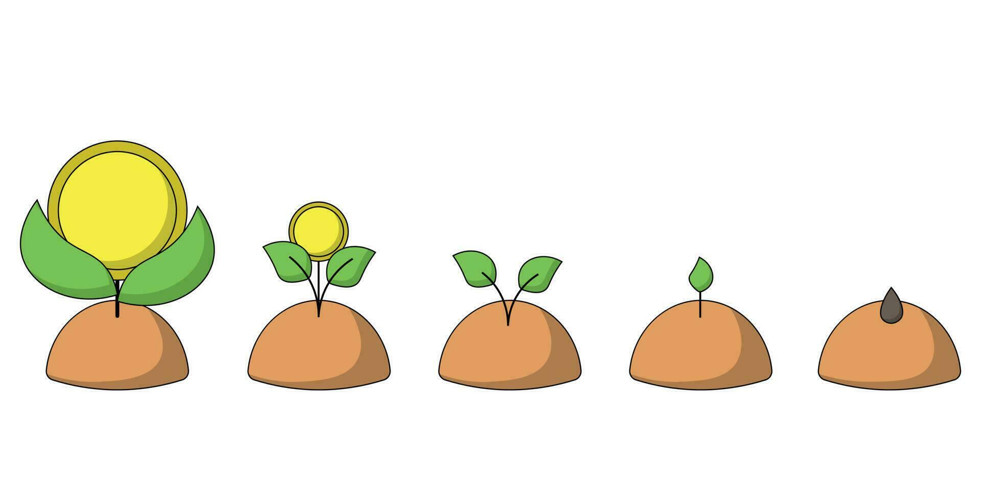 Stages of growth of a sprout from a seed to a coin-shaped flower in color vector