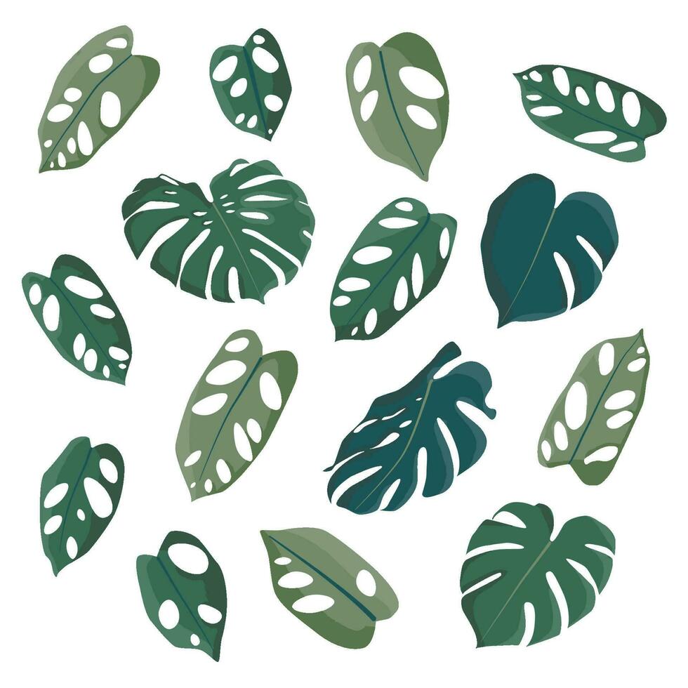 Big set of green monstera leaves. Flat design stickers. Group of icons illustration isolated on white background vector