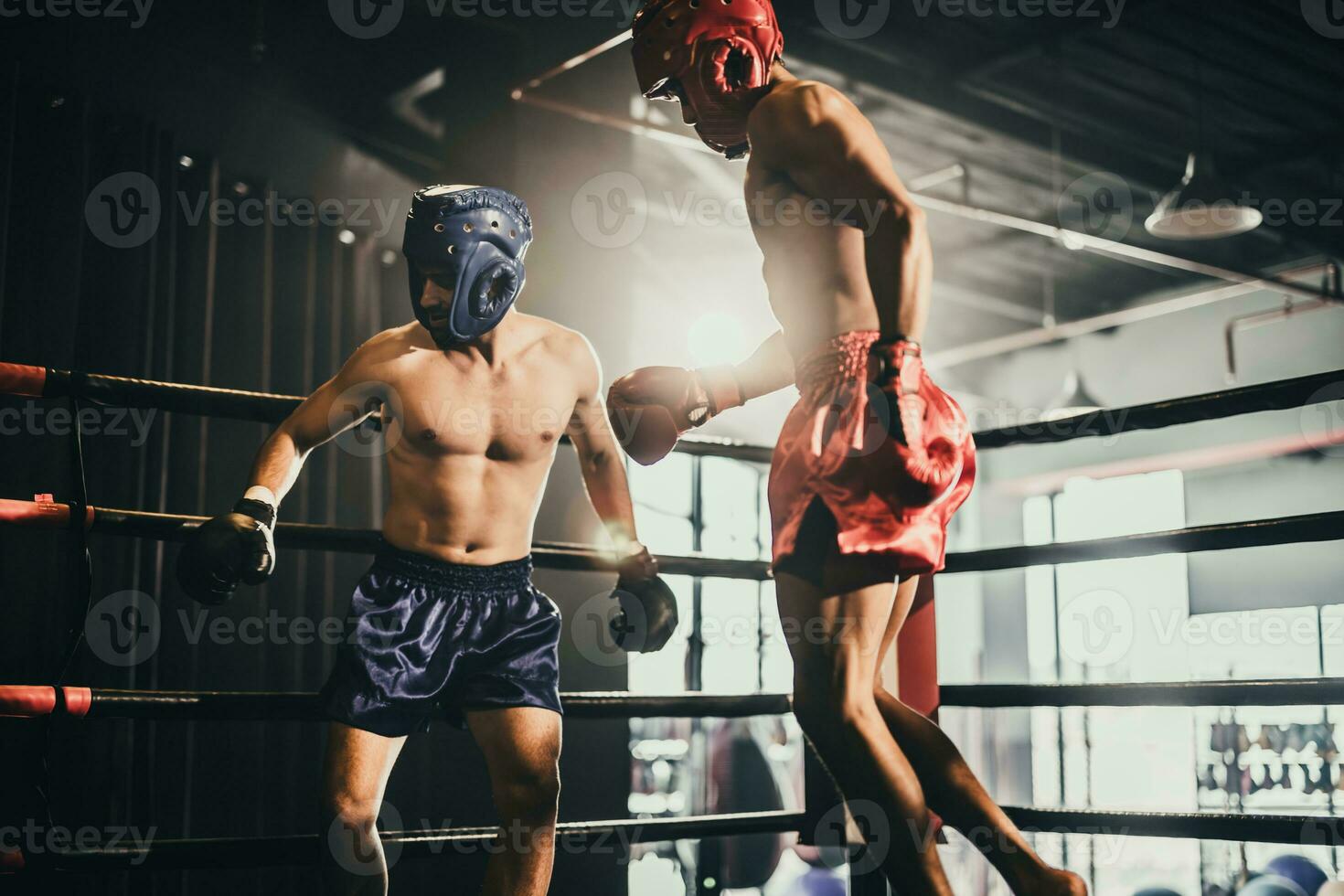 Boxer use various punch combinations, including the jab, hook, uppercut, cross, swing, straight. Getting in close to make opponent on ropes and knockout. Boxing champions win the round in boxing ring photo