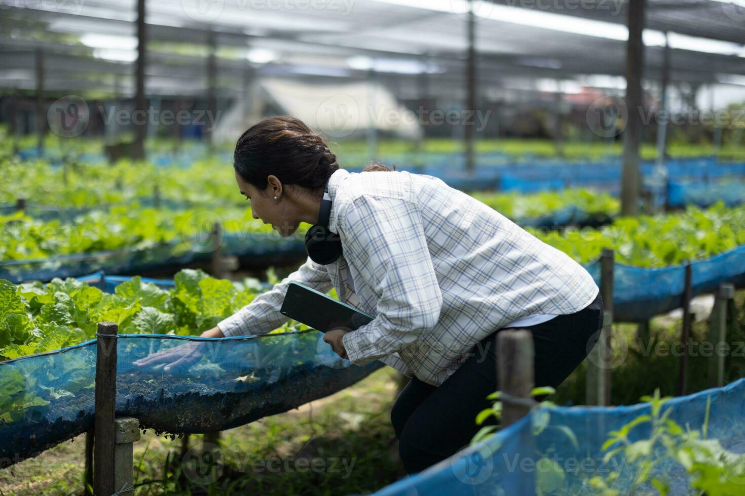 A worker on a vegetable farm examines soil conditions and crop growth to determine the best type and amount of crop to plant. A small business owner's daily planning and organizing routine photo