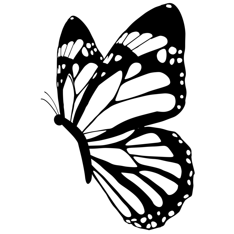 butterfly black and white design png