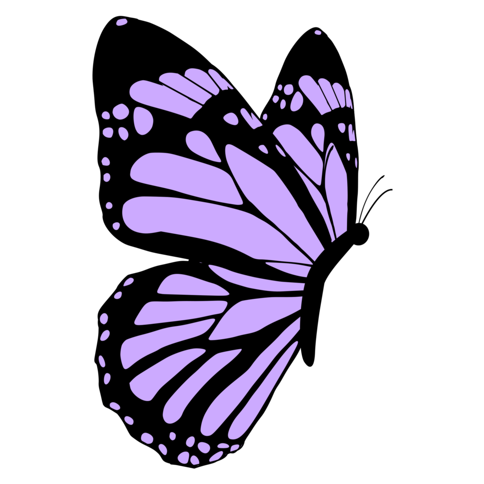 volador púrpura mariposa png