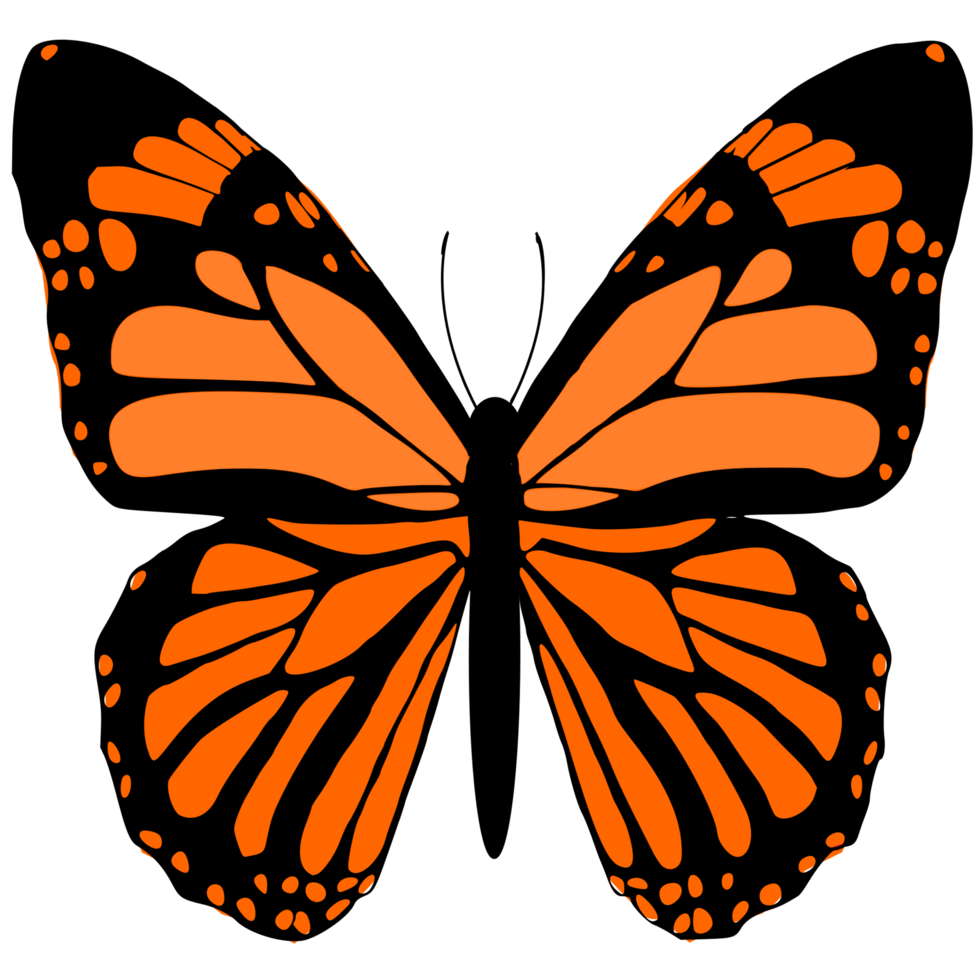 monarch butterfly design png