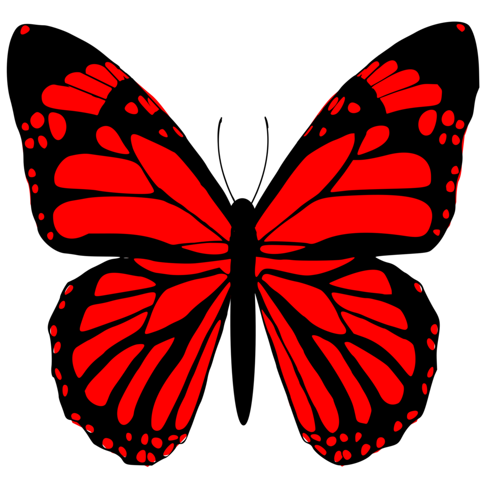 conception de papillon rouge png