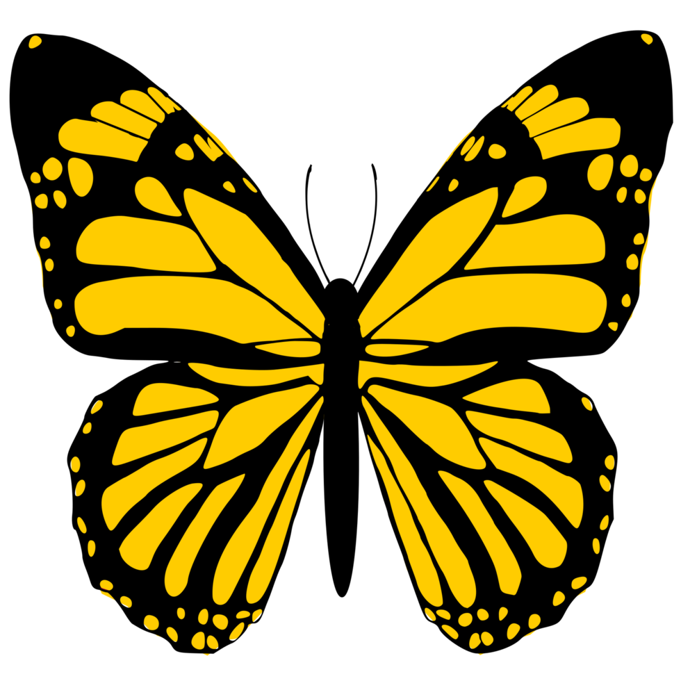 yellow butterfly design png