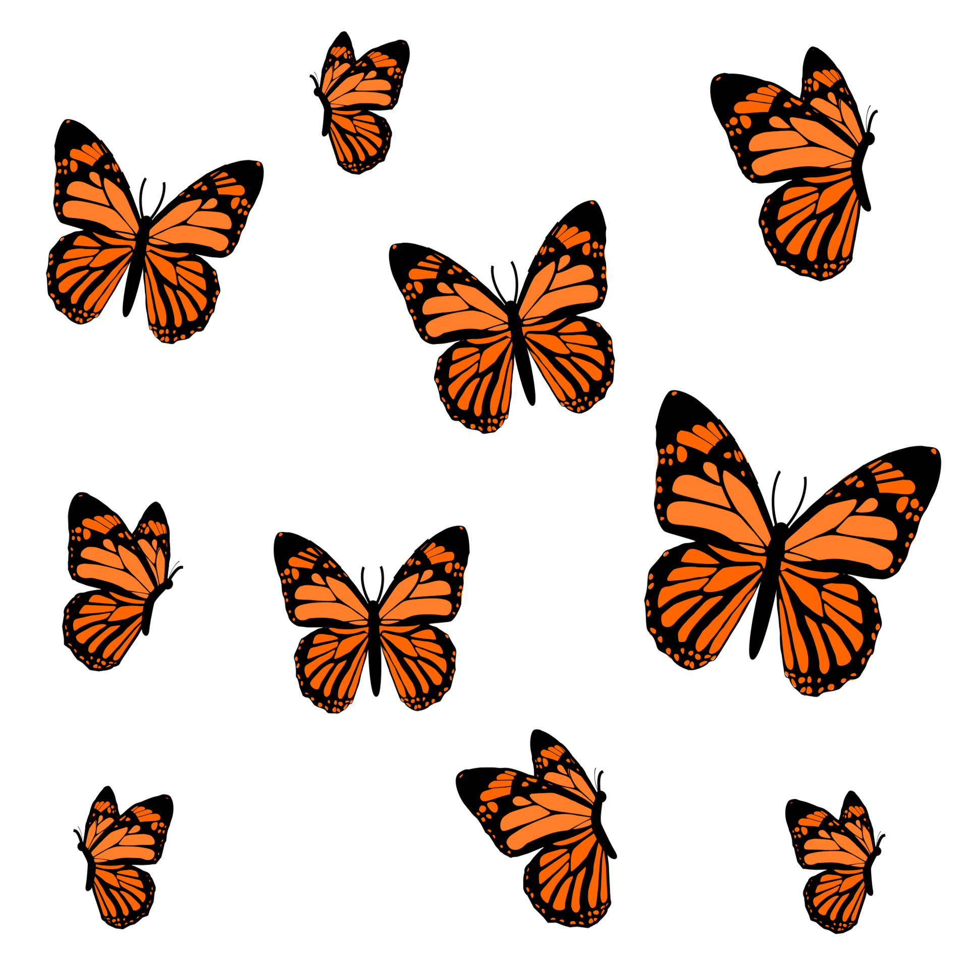 flying butterflies design 24134736 PNG