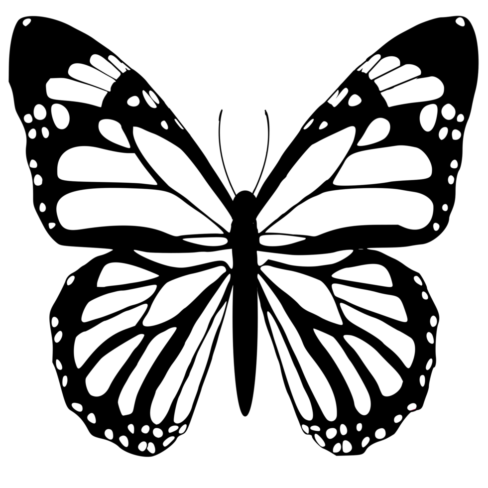 mariposa en blanco y negro png