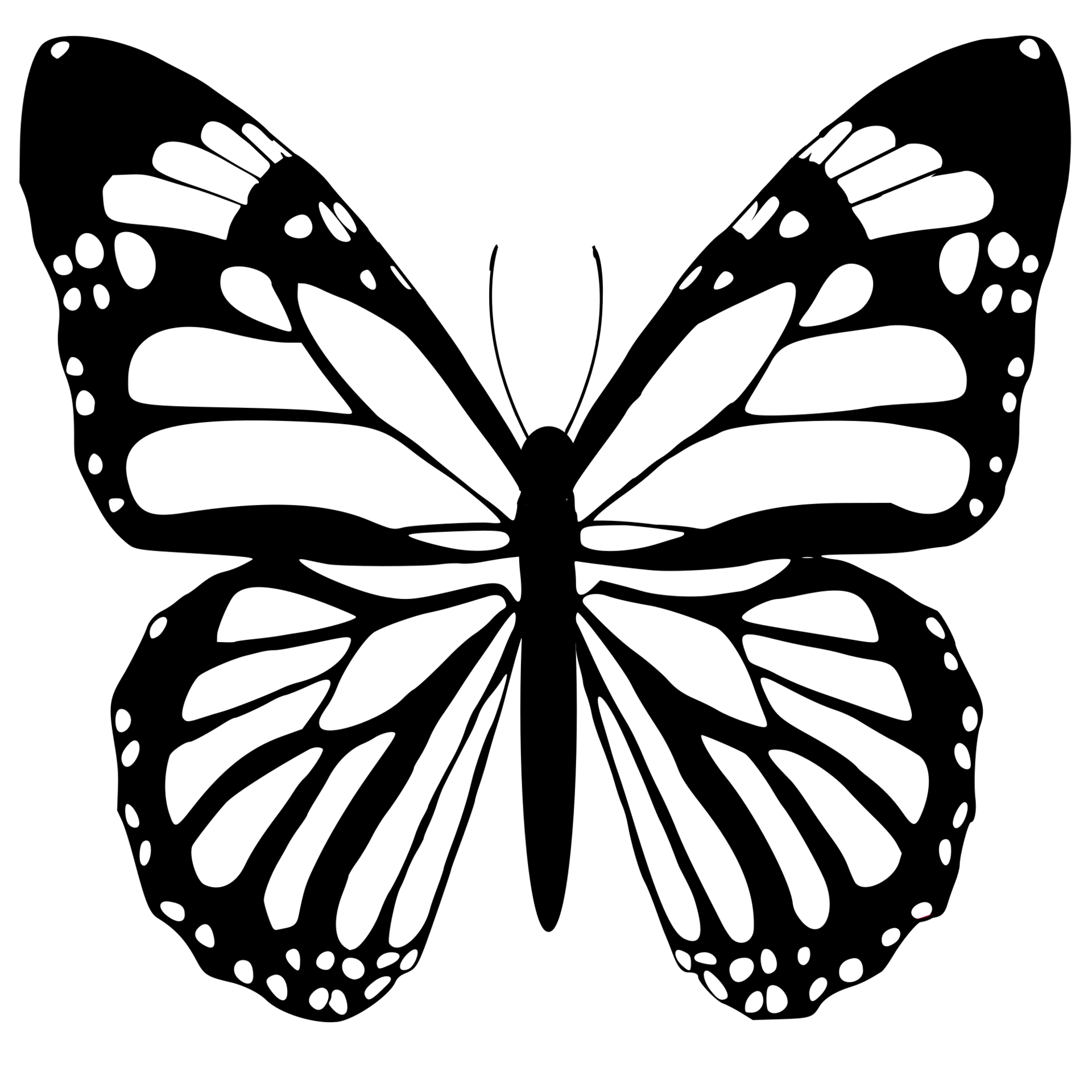Butterfly Black And White 24134738 PNG Butterfly Black And White 24134738 PNG
