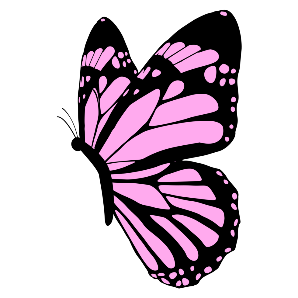 desenho de borboleta rosa png