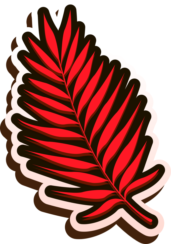 hand draw leaf png