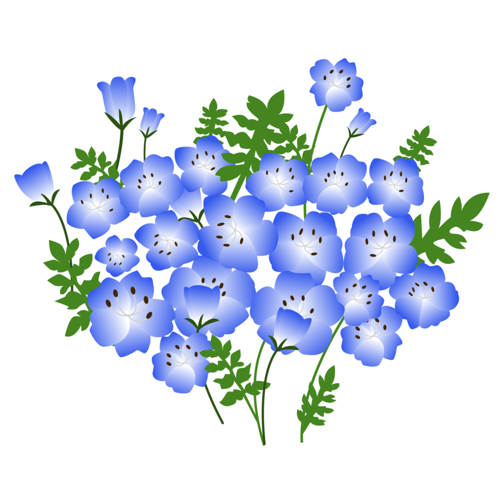 boeket van nemophila. png