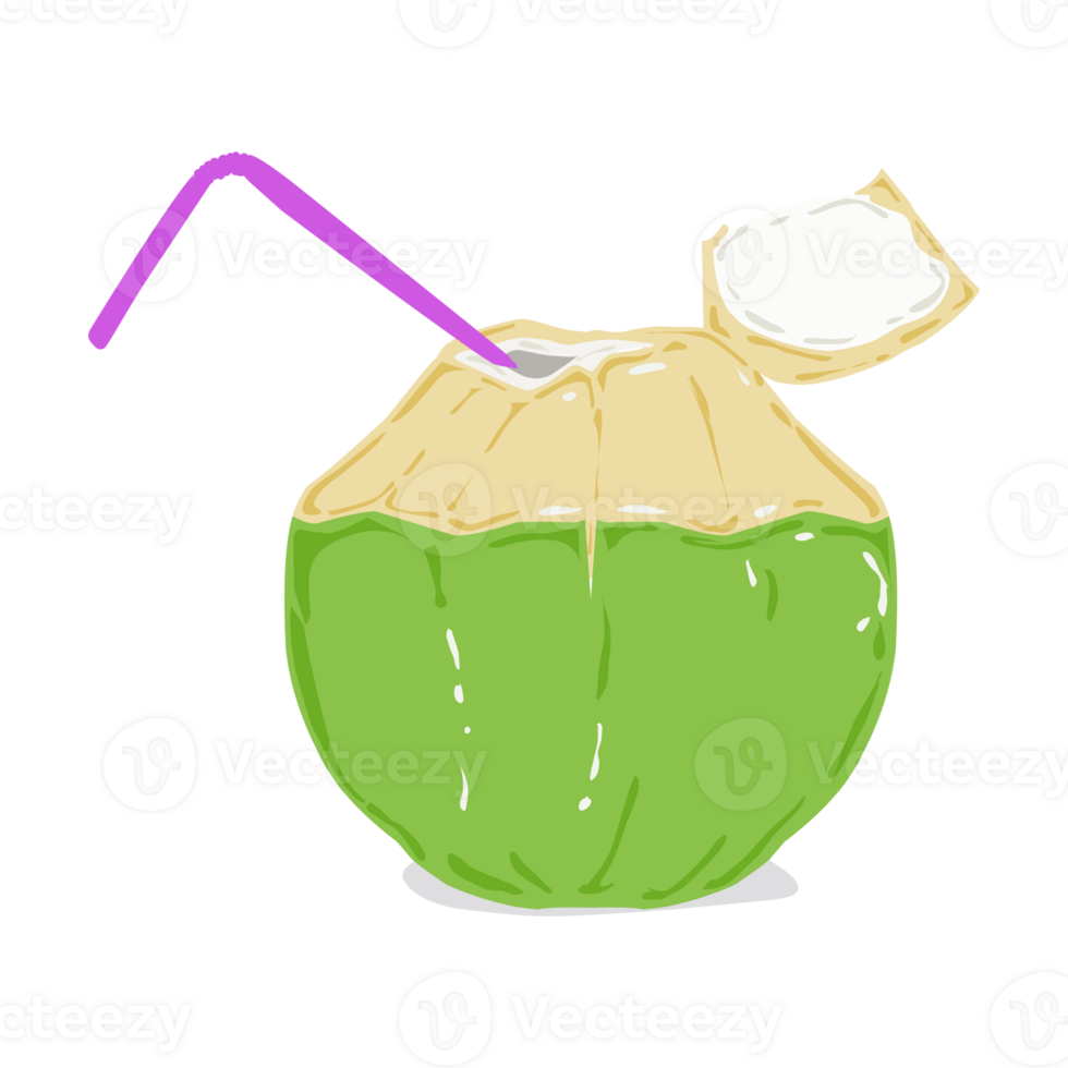 Illustration of a fresh young coconut drink png