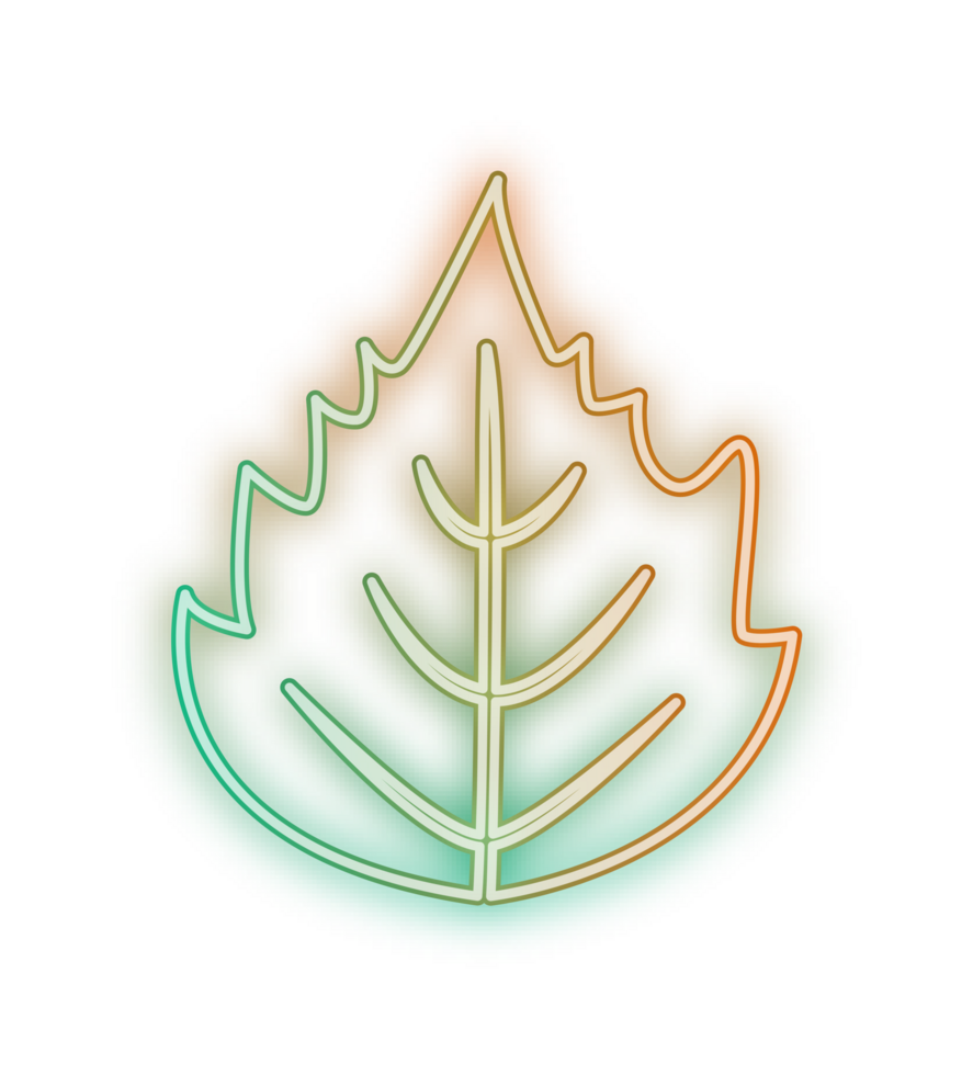 hand draw leaf png